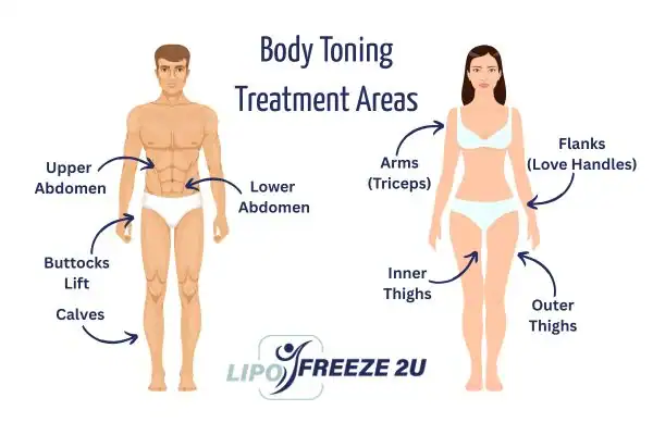 Graphic showing where you can have Body toning Treatment Willenhall on your body
